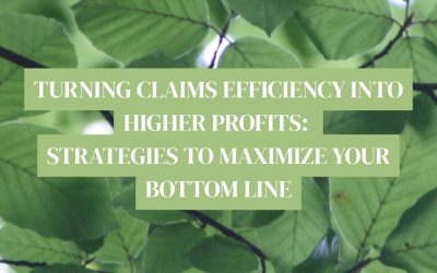 Turning Claims Efficiency into Higher Profits: Strategies to Maximize Your Bottom Line