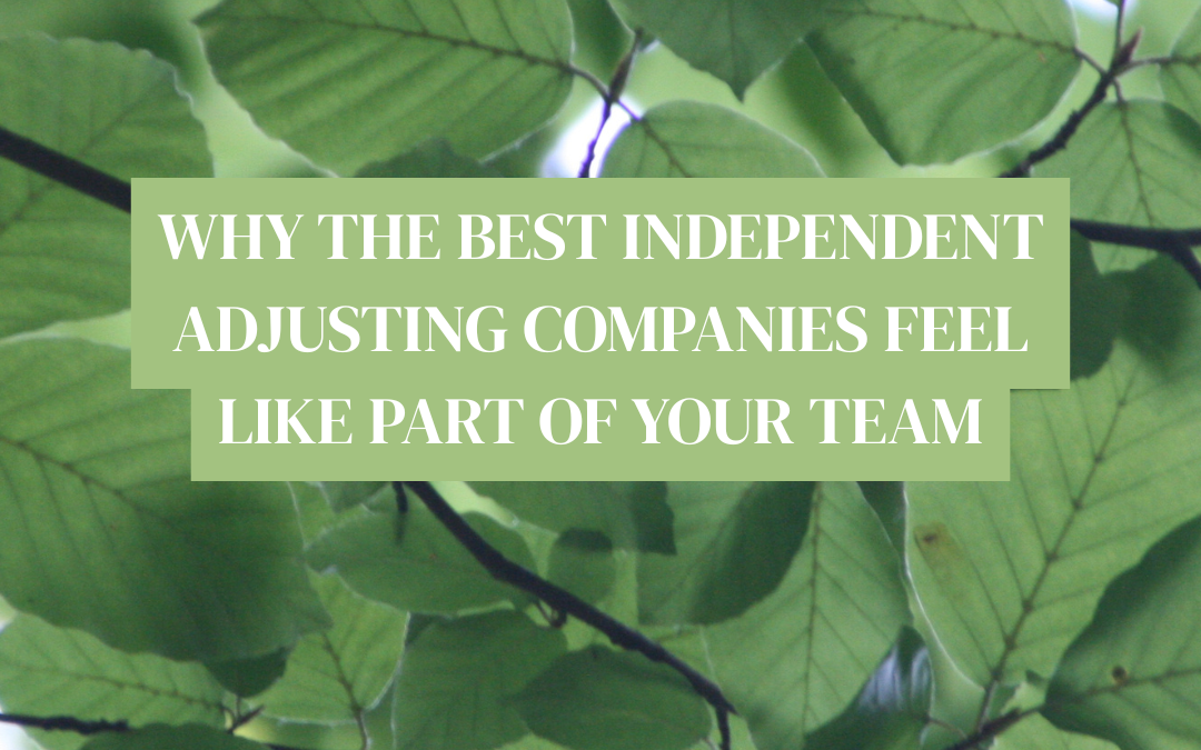 Why the Best Independent Adjusting Companies Feel Like Part of Your Team