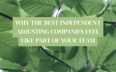 Why the Best Independent Adjusting Companies Feel Like Part of Your Team