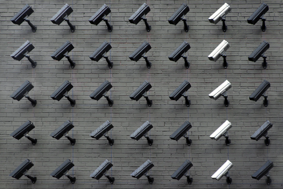 Cargo Adjuster in Boise, Idaho