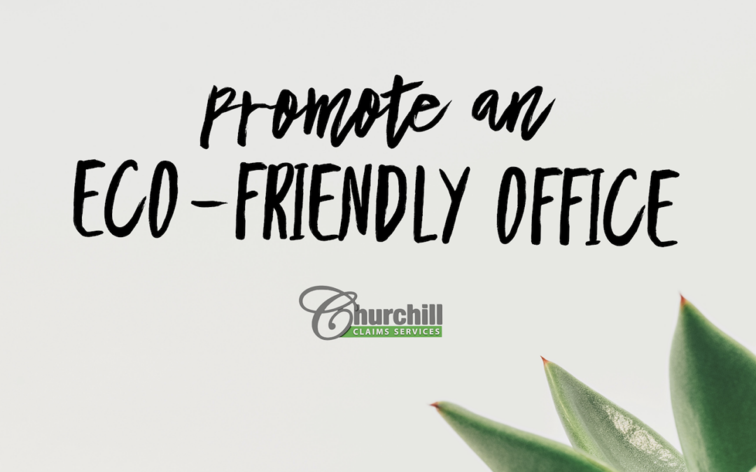 Promote An Eco-Friendly Office
