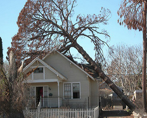 Claims Adjuster in New Britain, Connecticut