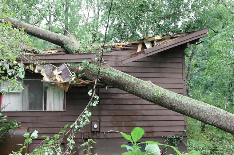 Property Adjuster in Clarksville, Tennessee